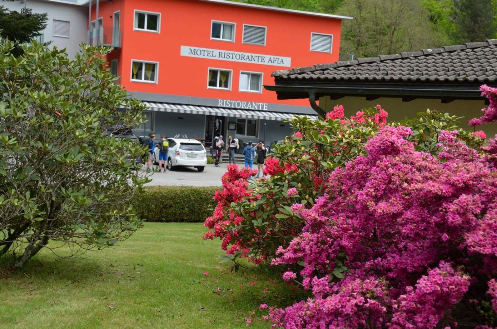 Hotel Afia